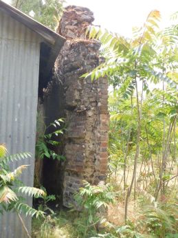 [Picture of West wall next to a garage]